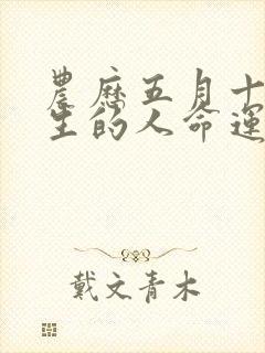 农历五月十三出生的人命运