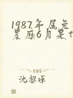 1987年属兔农历6月是什么命