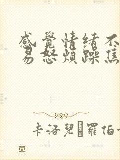 感觉情绪不好 易怒烦躁焦虑想哭封面