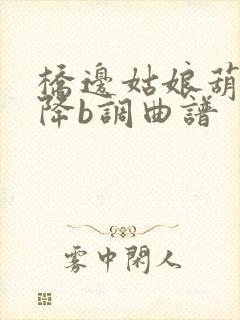 桥边姑娘葫芦丝降b调曲谱