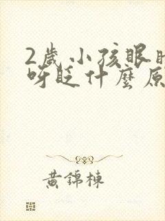 2岁小孩眼睛眨呀眨什么原因