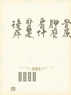 后背肩胛骨下面疼是什么原因引起的?