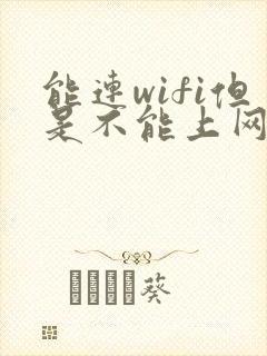 能连wifi但是不能上网封面