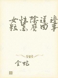 女性阴道边起颗粒怎么回事啊