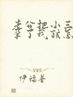 老公把小三搞怀孕了我该怎么办