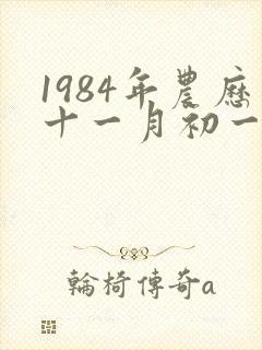 1984年农历十一月初一是什么命