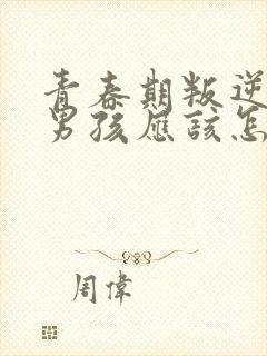 青春期叛逆厌学男孩应该怎么办封面