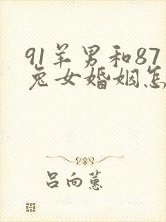 91羊男和87兔女婚姻怎么样封面