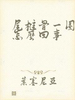 尾椎骨一圈疼是怎么回事