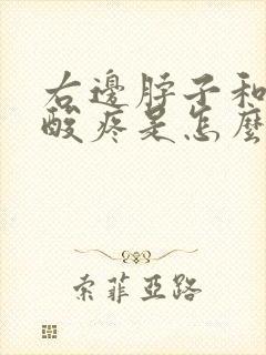 右边脖子和肩膀酸疼是怎么回事封面