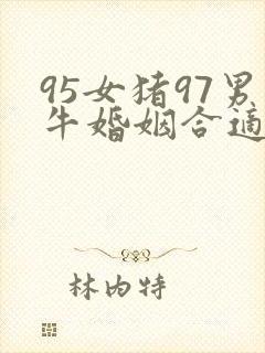 95女猪97男牛婚姻合适吗