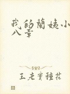 我的兰姨小说第八章封面