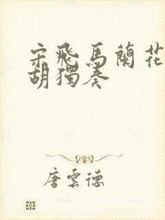 宋飞马兰花开二胡独奏