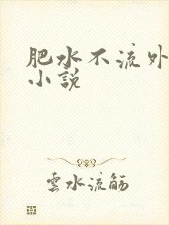 肥水不流外人田小说封面