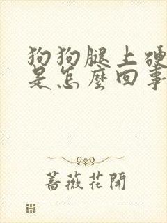 狗狗腿上硬疙瘩是怎么回事