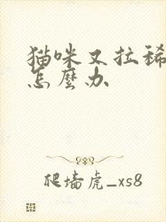 猫咪又拉稀又吐怎么办