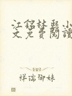 江铭林熙小说全文免费阅读