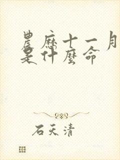 农历十一月十七是什么命