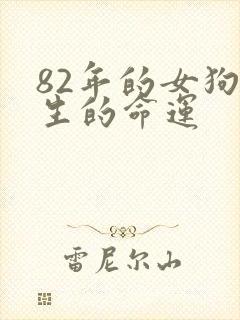82年的女狗一生的命运
