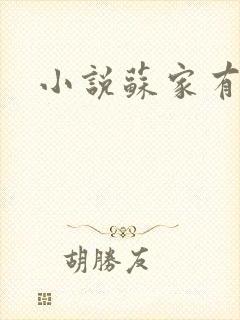 小说苏家有女封面