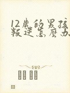 12岁的男孩子叛逆怎么办封面