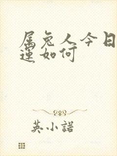 属兔人今日偏财运如何