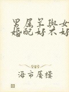 男属羊与女属猴婚配好不好