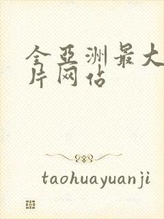 全亚洲最大的黄片网站