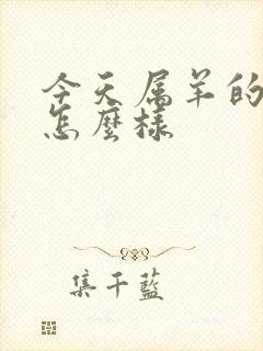 今天属羊的财运怎么样封面