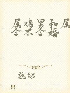 属鸡男和属虎女合不合婚