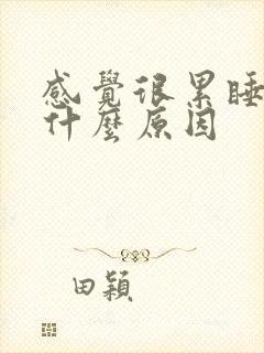 感觉很累睡不醒什么原因