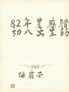82年农历腊月初八出生的命运封面