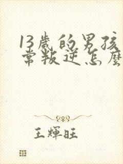 13岁的男孩非常叛逆怎么办封面