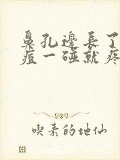 鼻孔边长了个痘痘一碰就疼