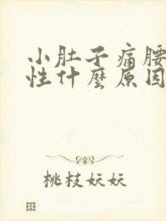 小肚子痛腰痛女性什么原因引起的