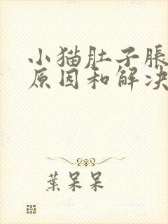 小猫肚子胀气的原因和解决办法