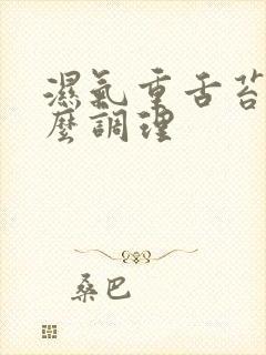 湿气重舌苔白怎么调理封面