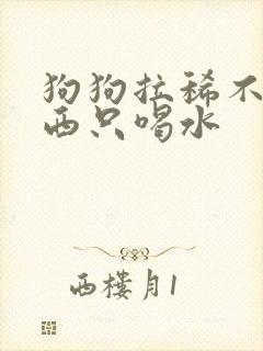 狗狗拉稀不吃东西只喝水