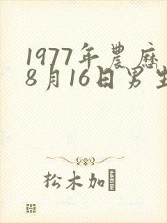 1977年农历8月16日男生命运