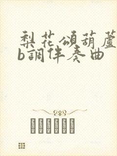 梨花颂葫芦丝降b调伴奏曲封面