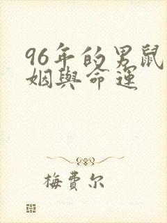 96年的男鼠婚姻与命运封面