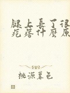 腿上长了很多小疙瘩什么原因