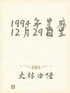 1994年农历12月29日生男命运