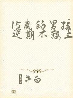 15岁的男孩叛逆期不想上学