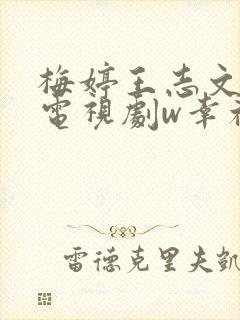 梅婷王志文演的电视剧w幸福