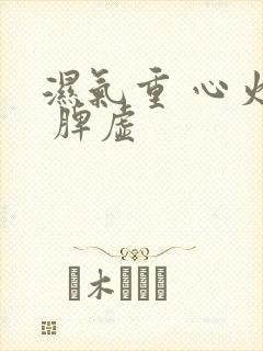 湿气重 心火旺 脾虚