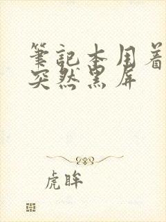 笔记本用着用着突然黑屏