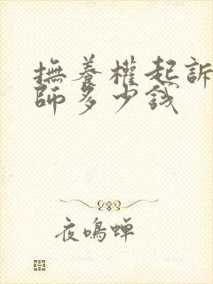 抚养权起诉找律师多少钱