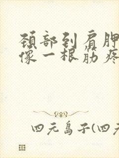 颈部到肩胛骨好像一根筋疼