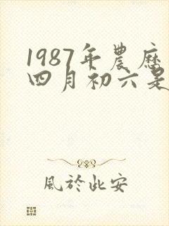 1987年农历四月初六是什么命